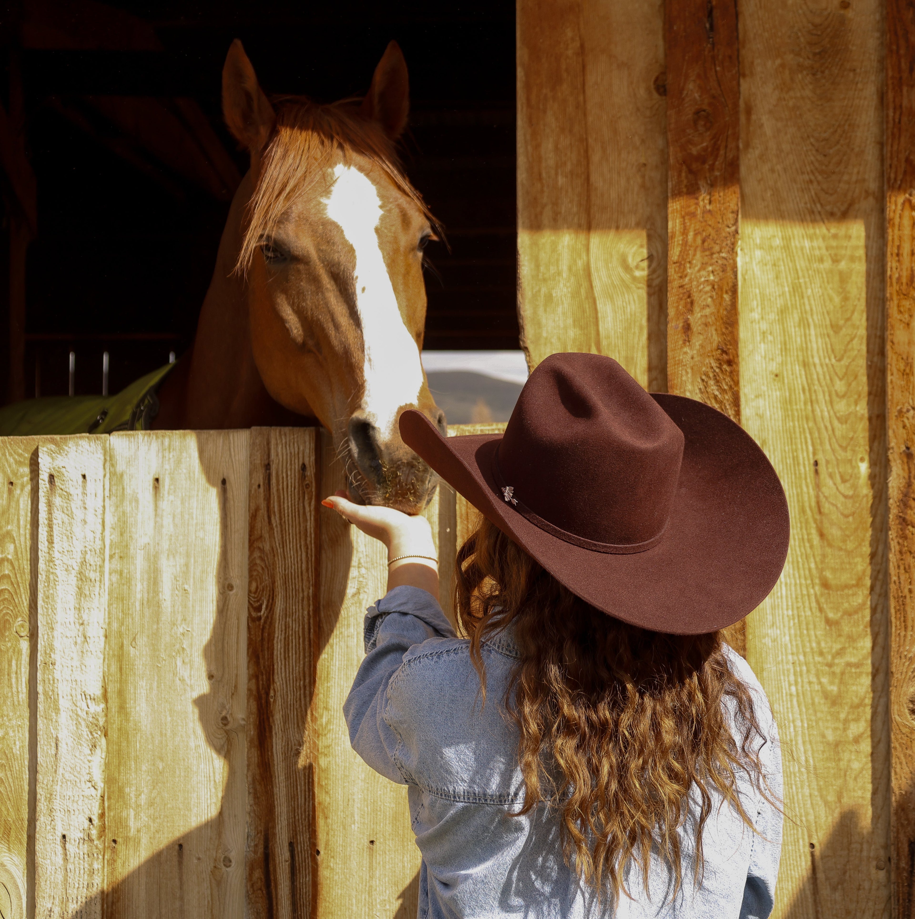 Sangria Cowboy Hat | 50X