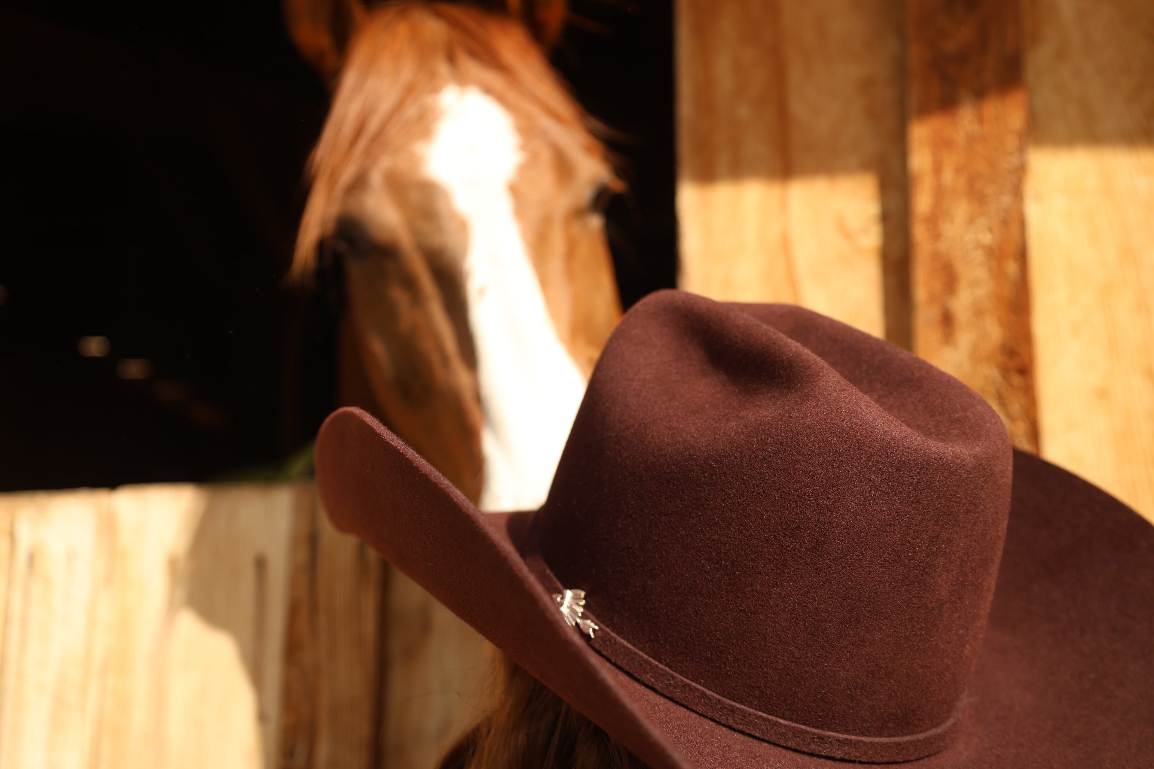 Sangria Cowboy Hat | 50X