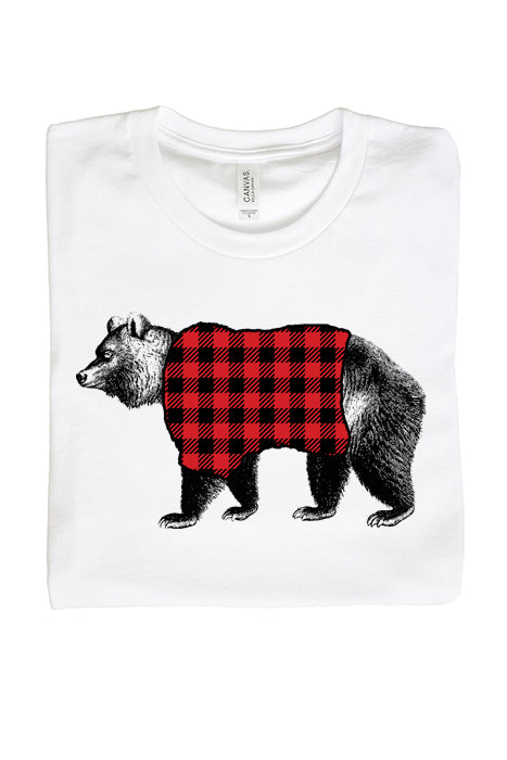 Plaid Racoon-1167