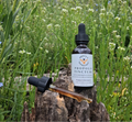 Propolis Tincture - Alcohol-Free Propolis Extract