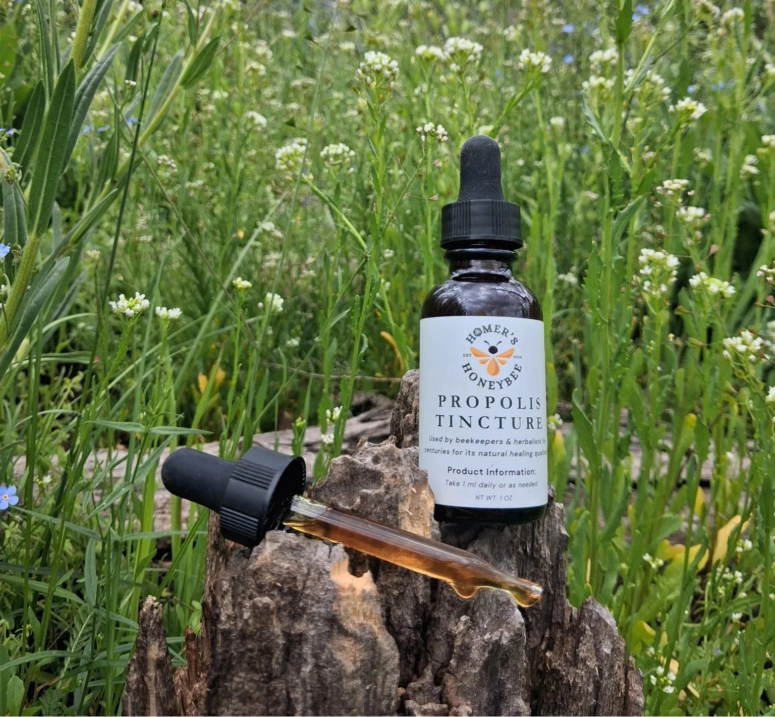 Propolis Tincture - Alcohol-Free Propolis Extract