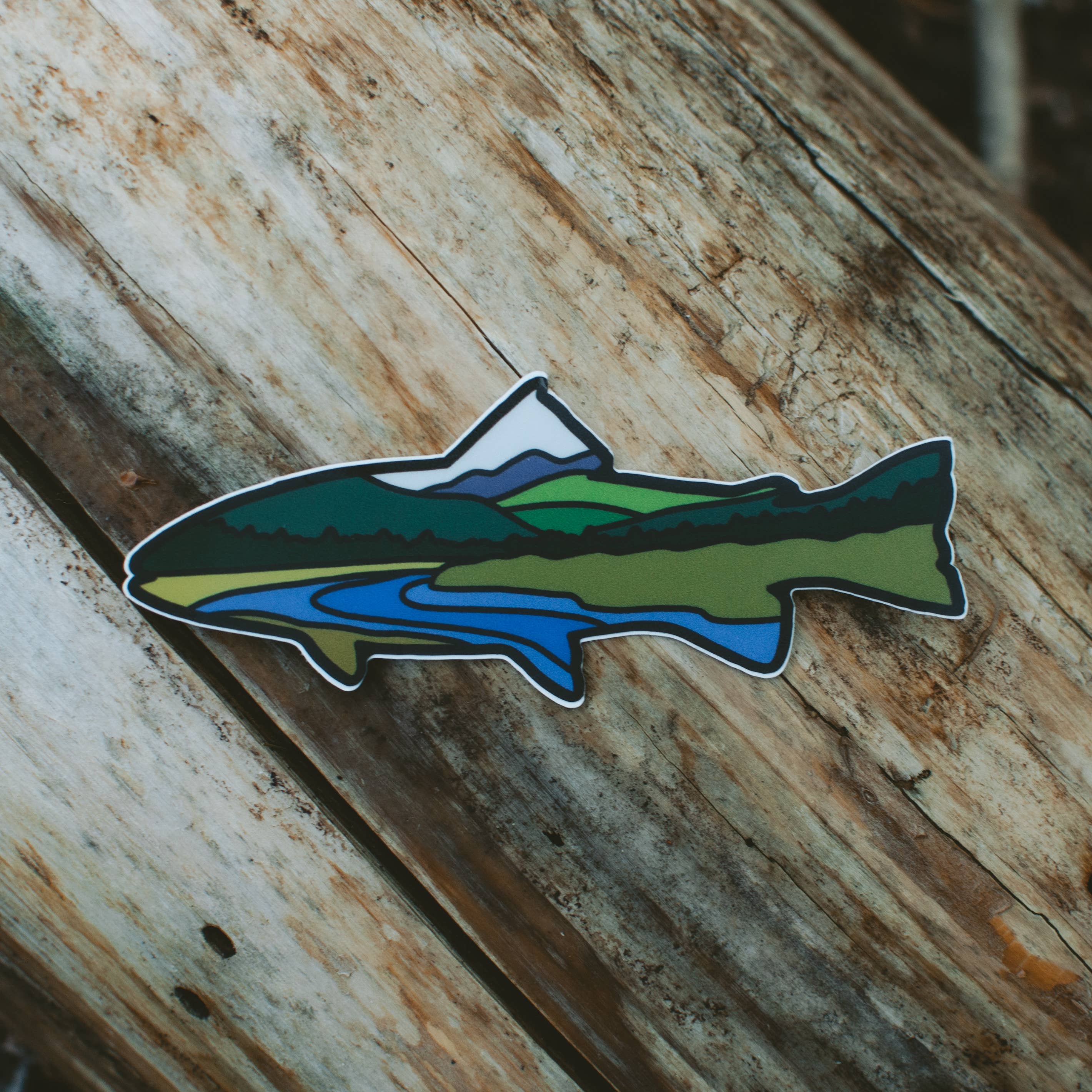Rainbow Trout Fish | Sticker
