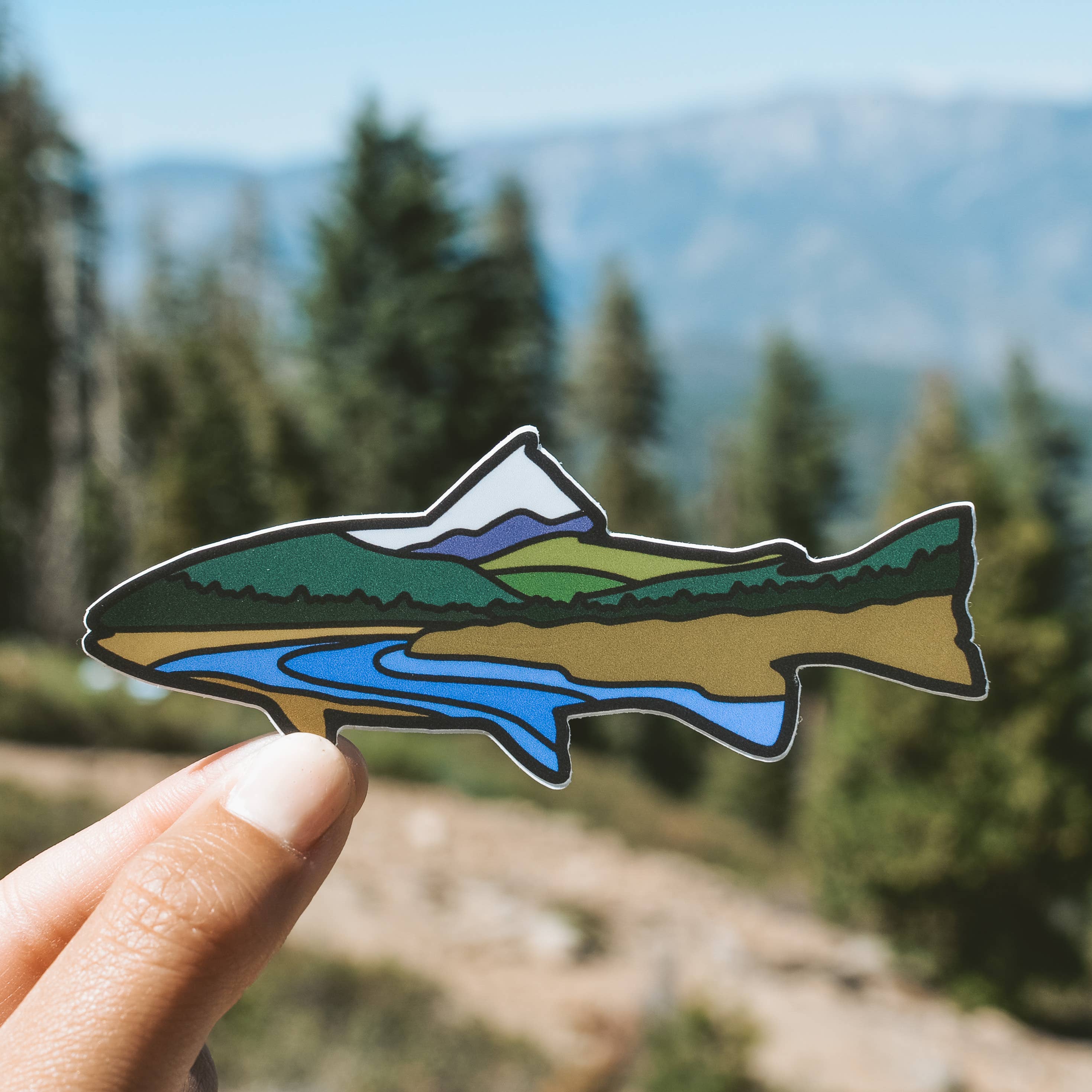Rainbow Trout Fish | Sticker