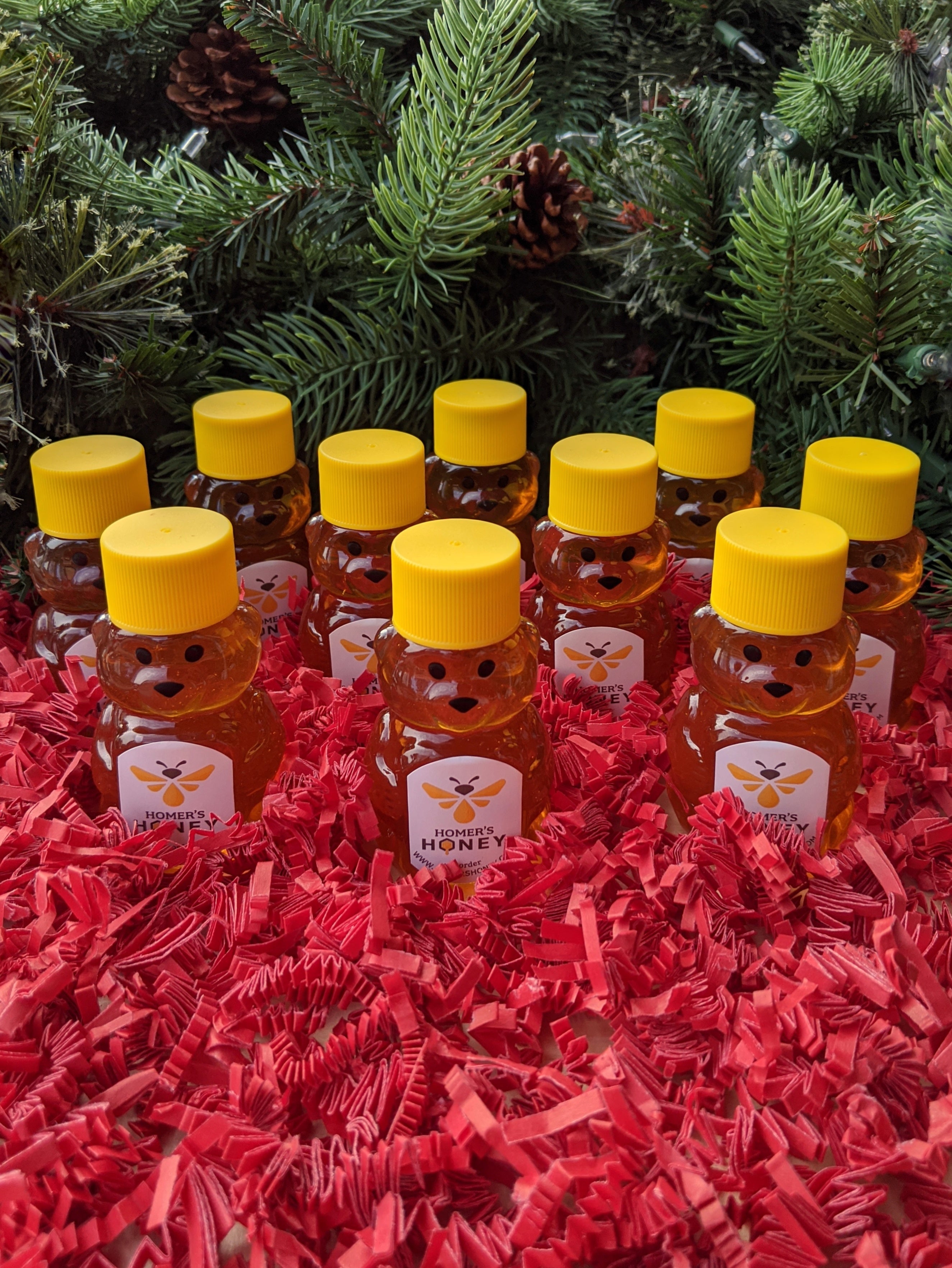10 Raw Honey Mini Bears - 2 oz.