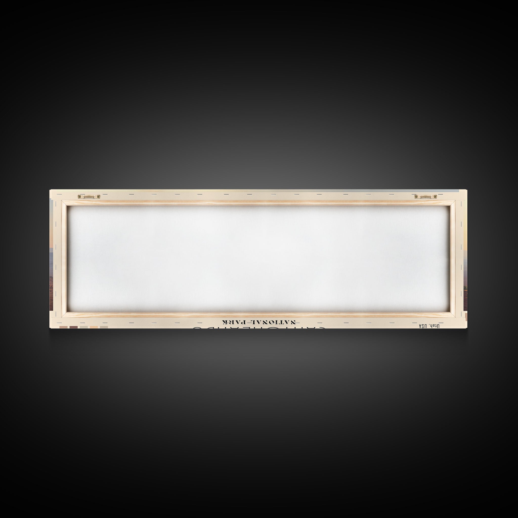 Canyonlands National Park Panoramic Utah Travel Art, National Park Print, Minimalist Travel Art, Subdued Watercolor Painting Panoramic