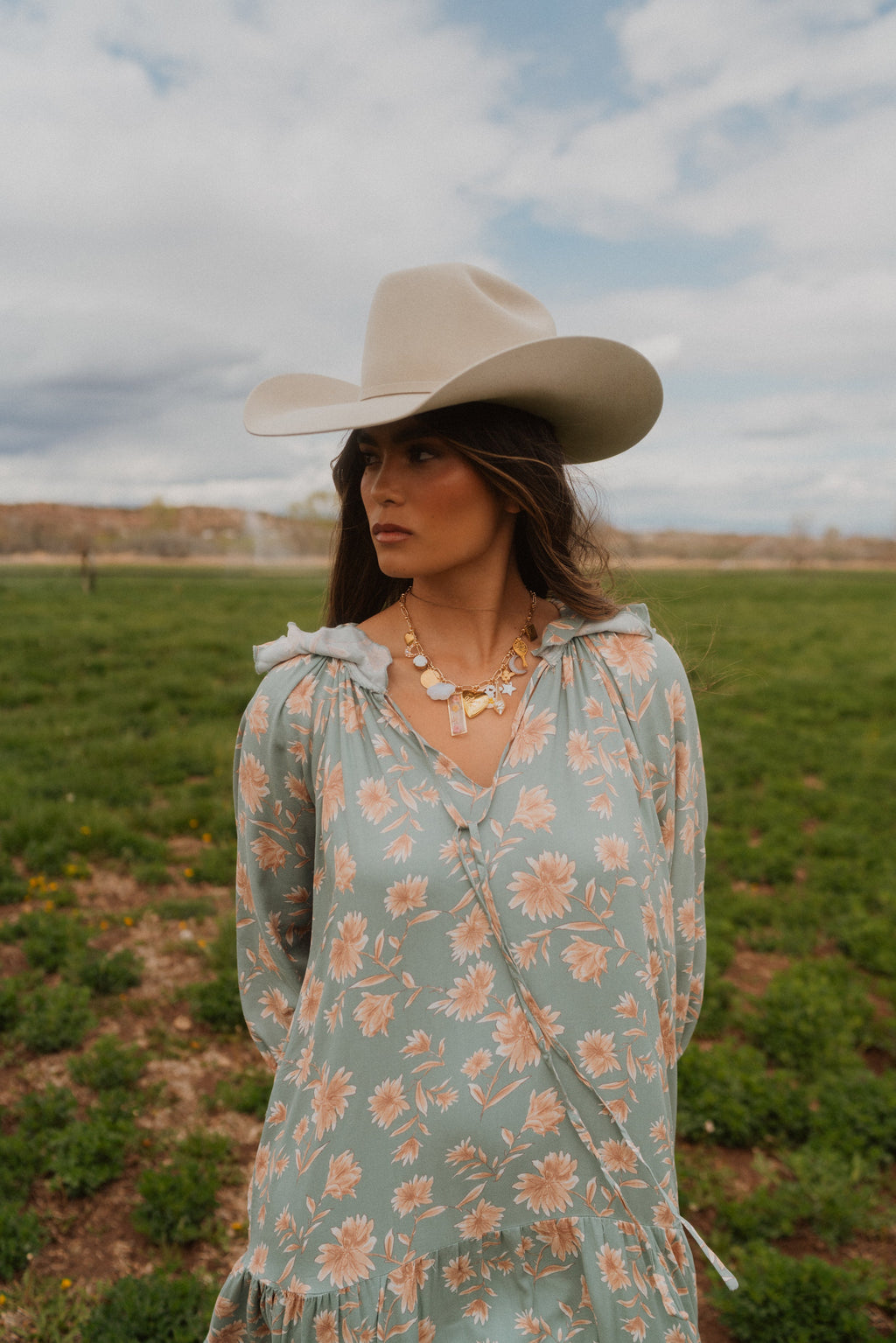 Silverbelly Cowboy Hat | 50X