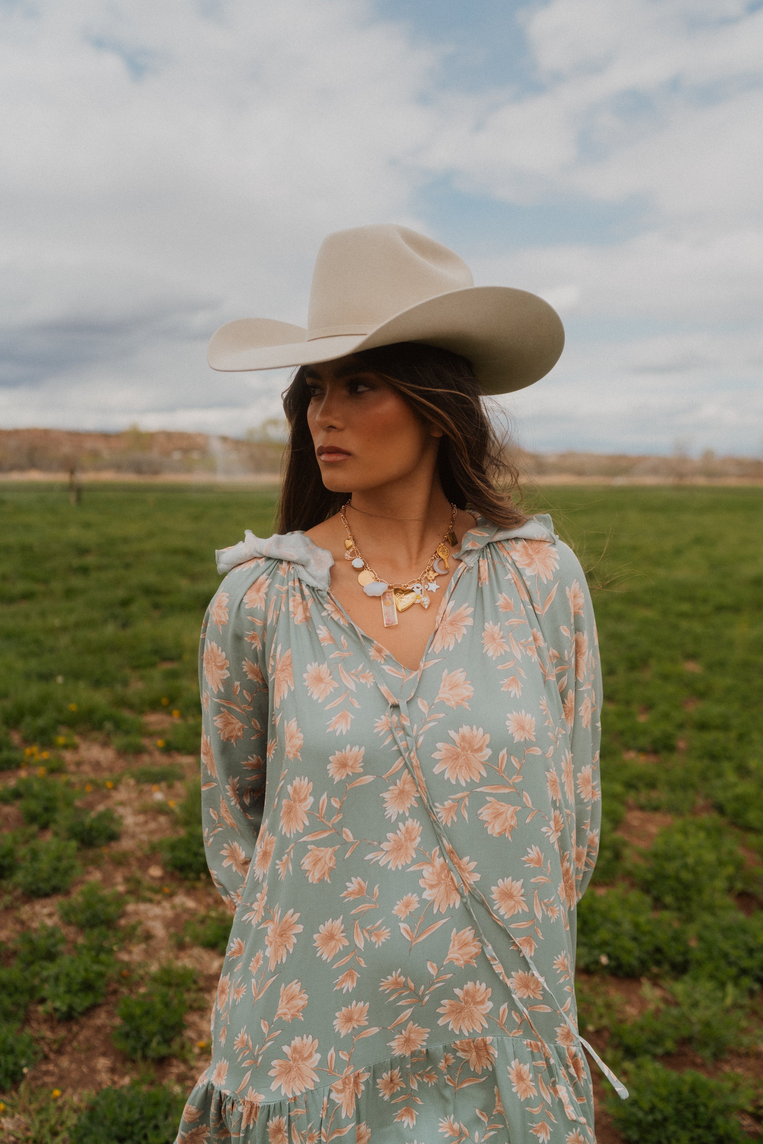 Silverbelly Cowboy Hat | 50X