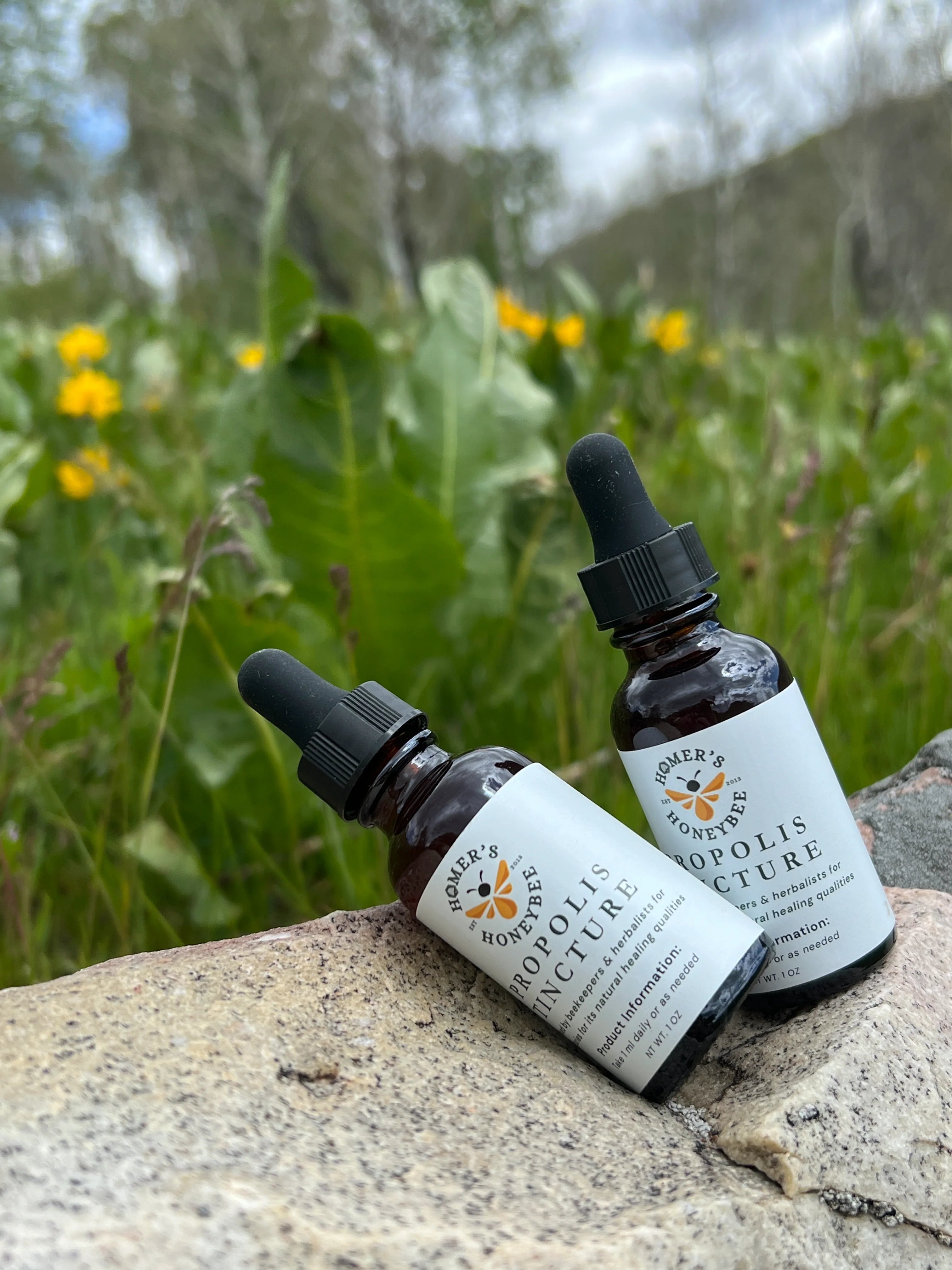 Propolis Tincture - Alcohol-Free Propolis Extract