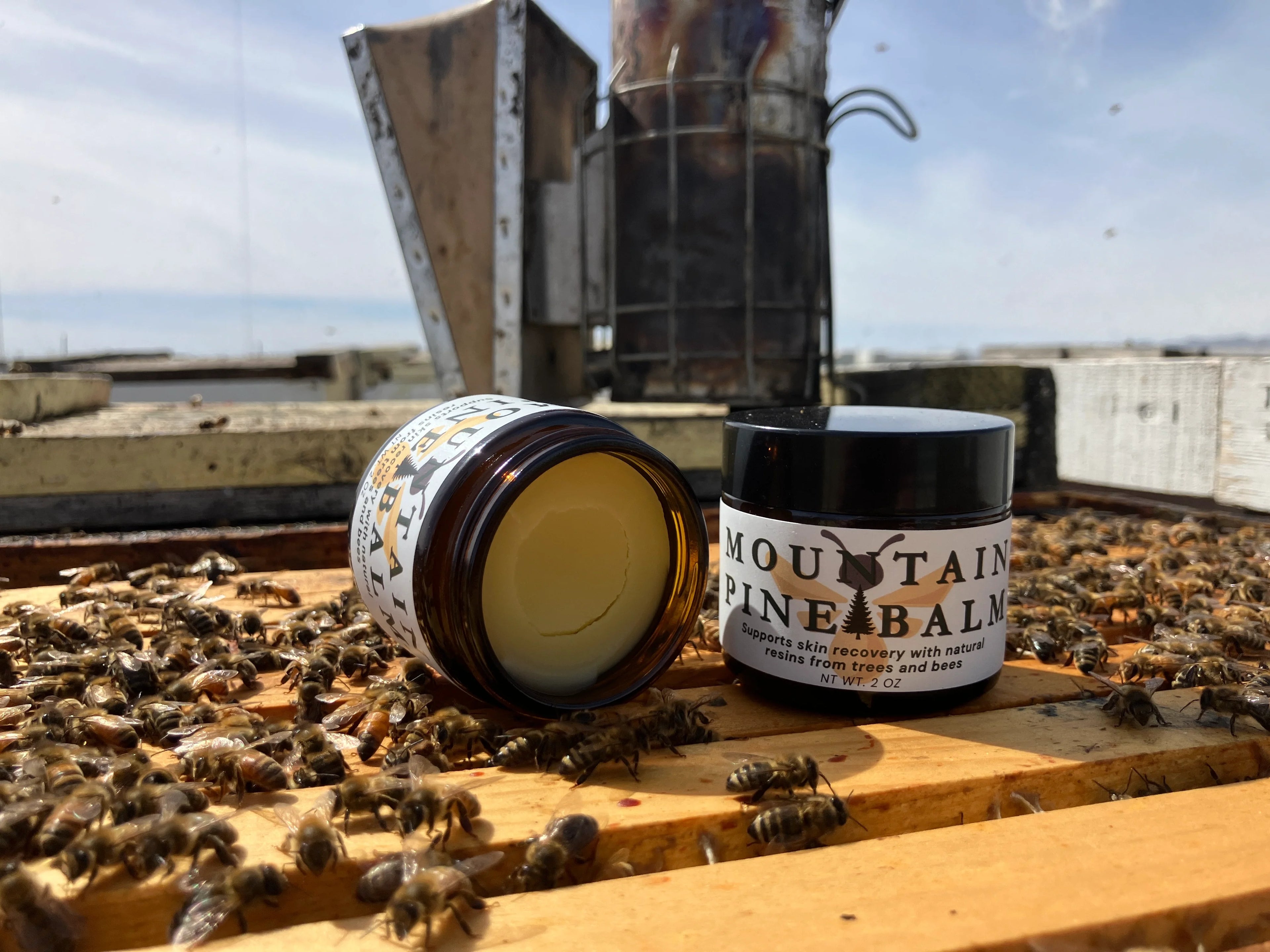 Mountain Pine Balm - Forest & Hive Botanical Balm