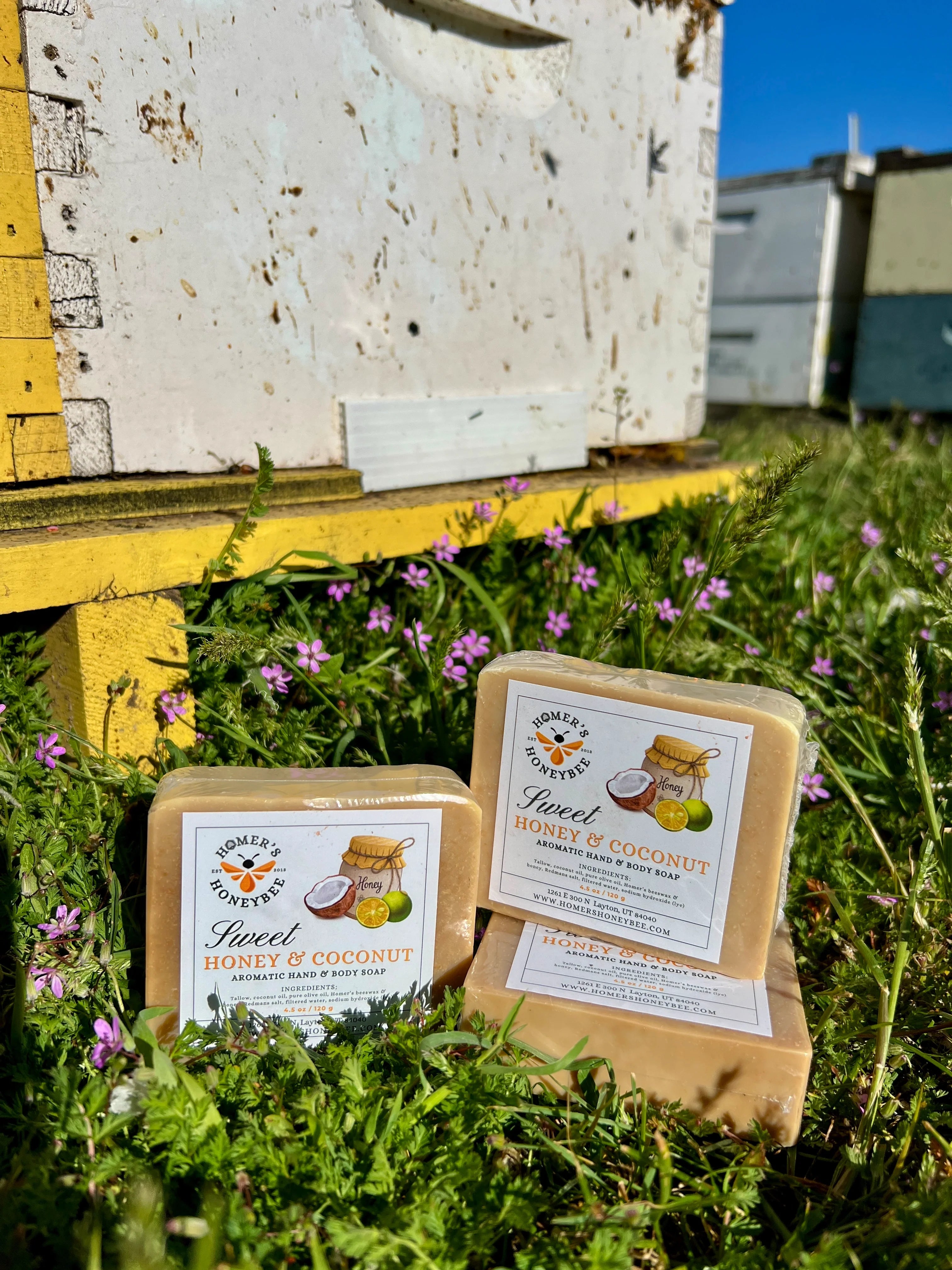 Sweet Honey & Coconut Soap
