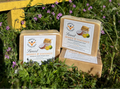Sweet Honey & Coconut Soap