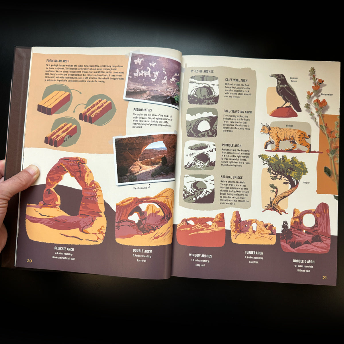 Wilderness & Wonder: An Illustrated Guide to the National Parks HARD COVER Book