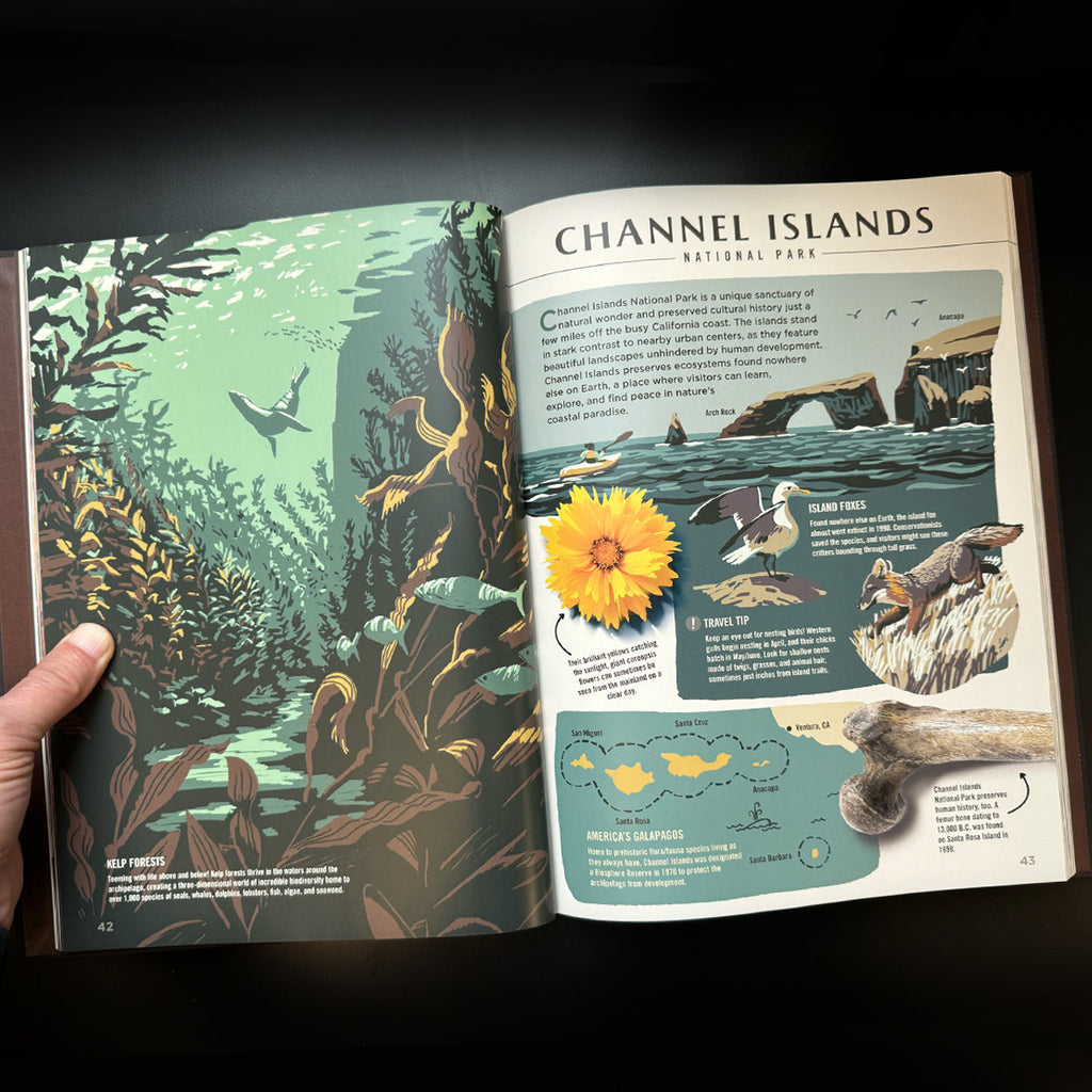 Wilderness & Wonder: An Illustrated Guide to the National Parks HARD COVER Book