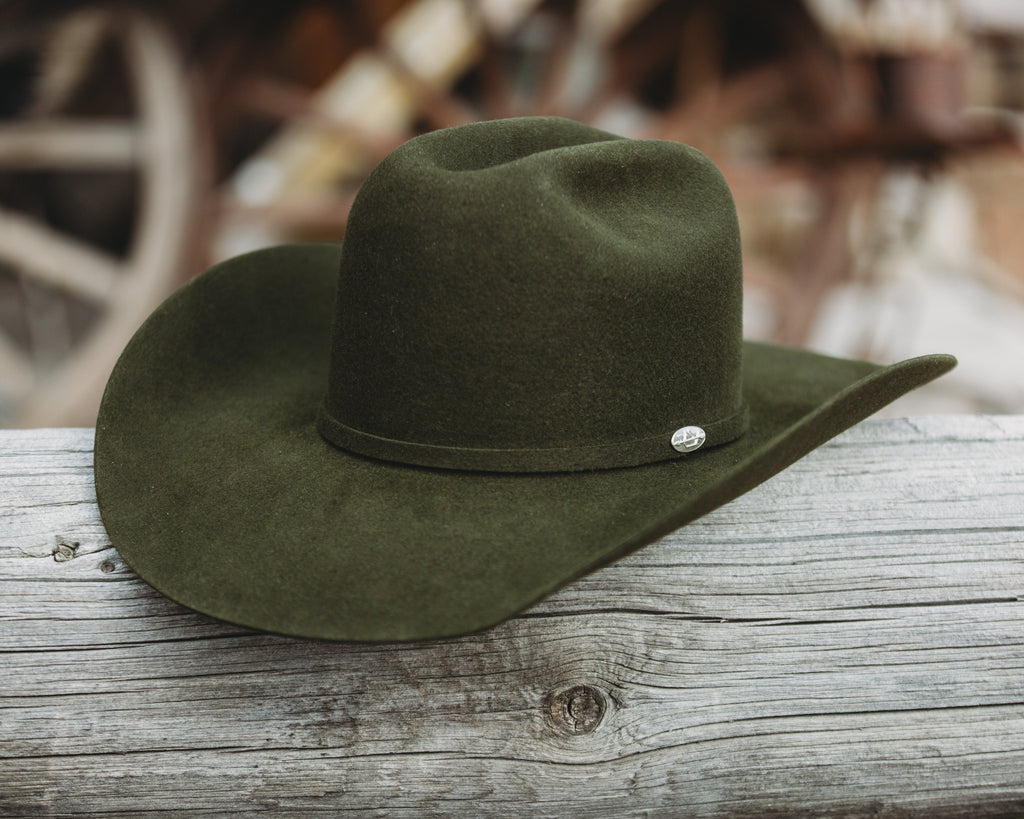 Mallard Cowboy Hat | 20X