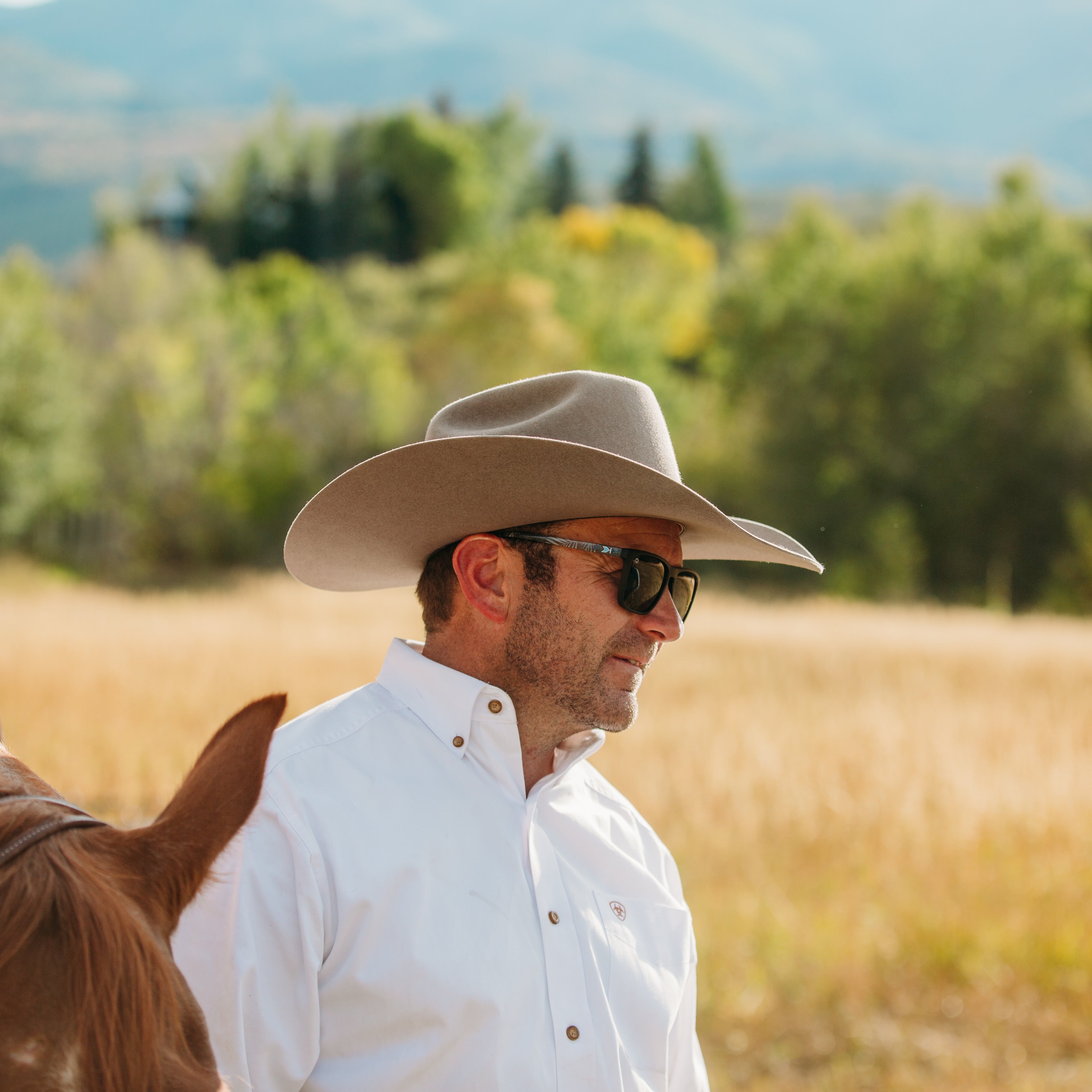 Natural Cowboy Hat | 30X