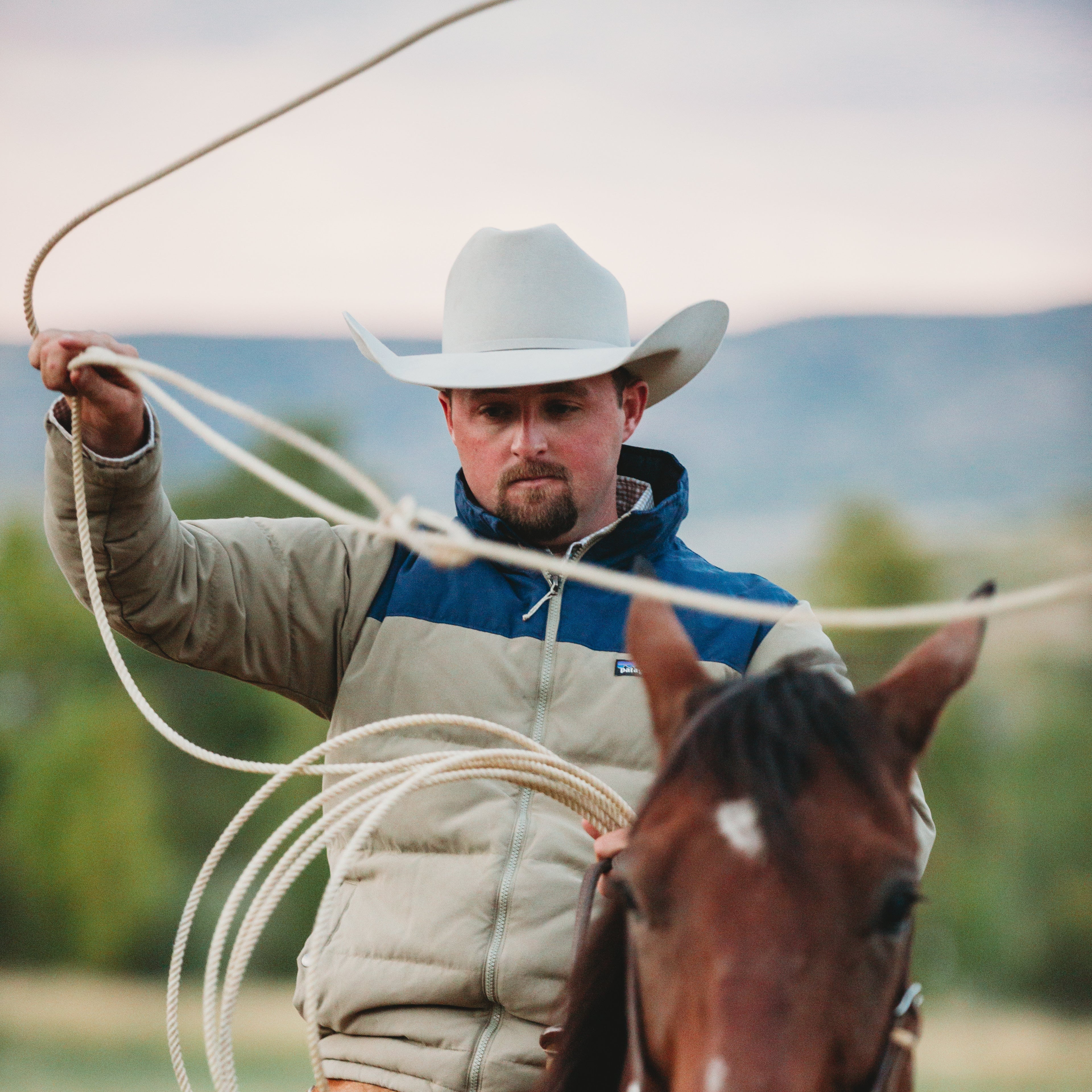 Silverbelly Cowboy Hat | 20X