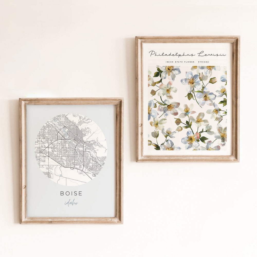 Boise, Idaho Map Poster