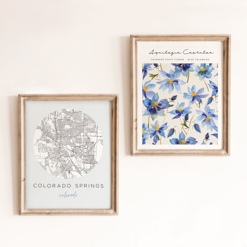 Colorado Springs, Colorado Map Poster
