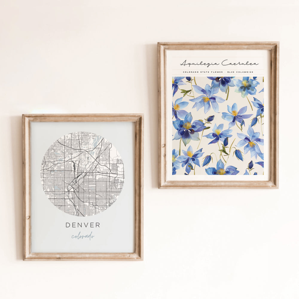 Denver, Colorado Map Poster